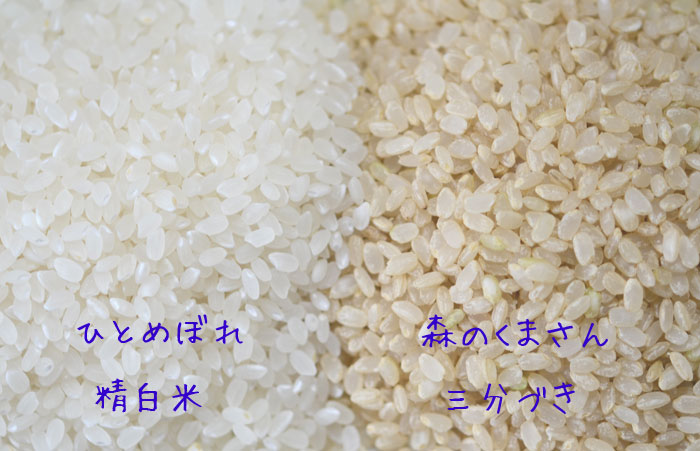 三分づき米と、白米をミックス